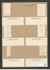 Stauroneis platystoma (Ehr.) Kuetz. (de-Toni-Nr.: Genus 6, Species 874) Zeichnungen Sammlung Grunow Nr. 1734 (NHMW-BOT-W0368615)